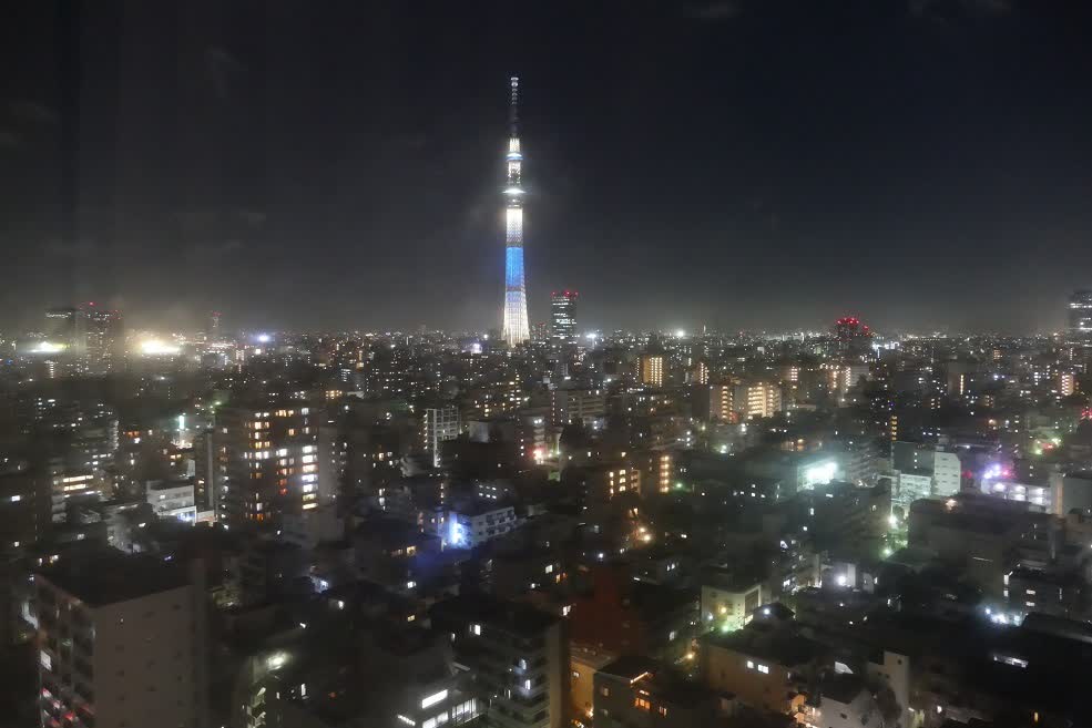 Tokyo Tower en Bleu Blanc 333m Vue en 2018