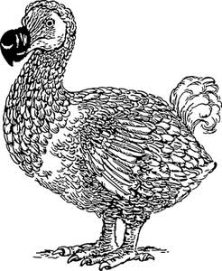 Dessin du Dodo
