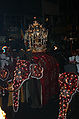 Kandy Procession Perahara