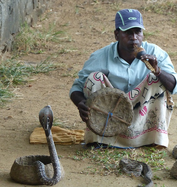 Charmeur de serpents